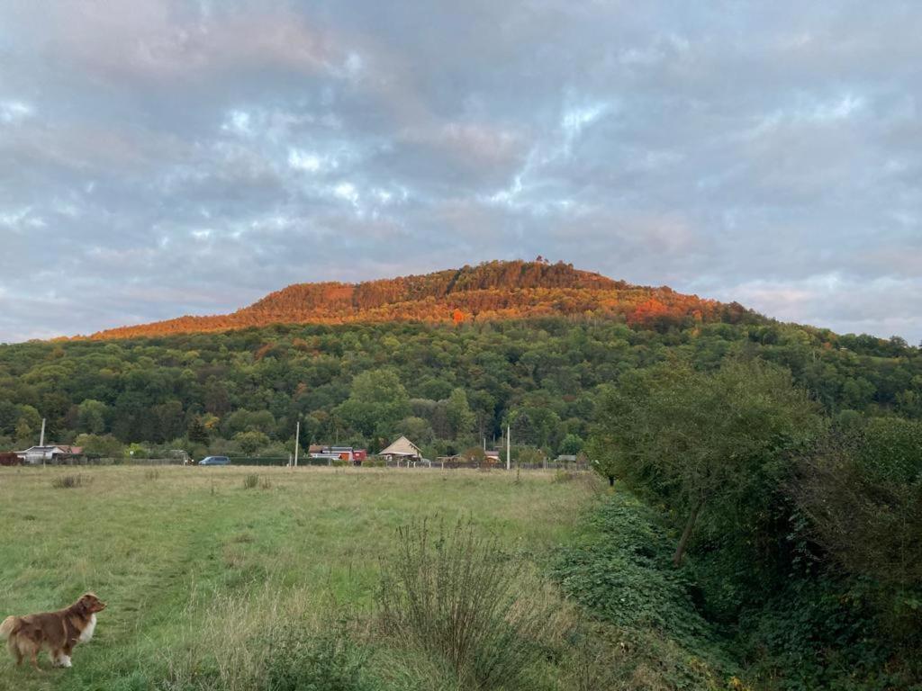 Jena Paradies Exteriör bild